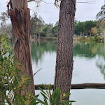 Photo n°5 de l'avis de Ermelindo.a fait le 10/03/2023 à 00:40 sur le  Quinta da Mafalda à Mira