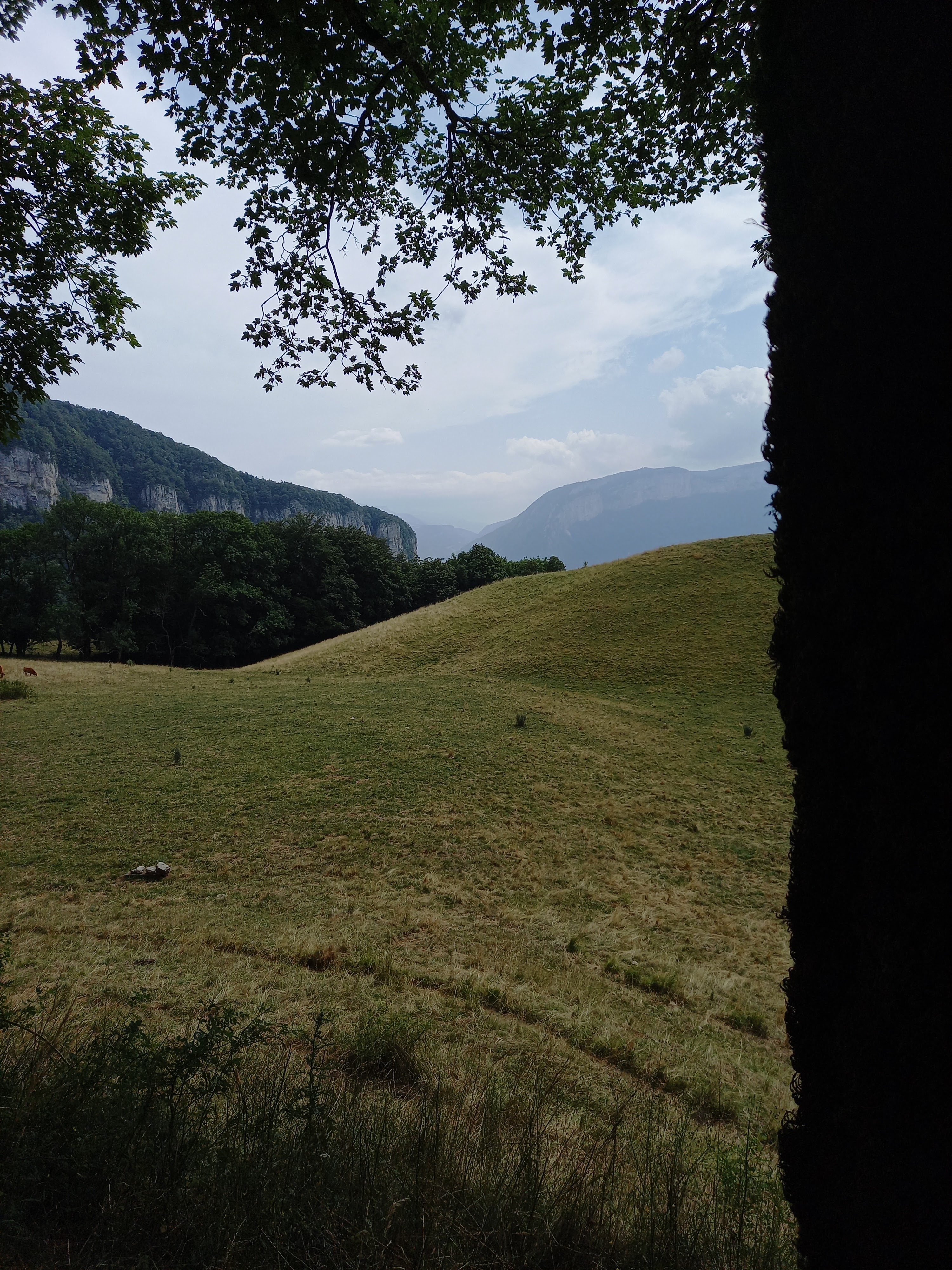 Photo n° 9 de l'avis de PESQUET.o fait le 22/07/2023 à 16:55
