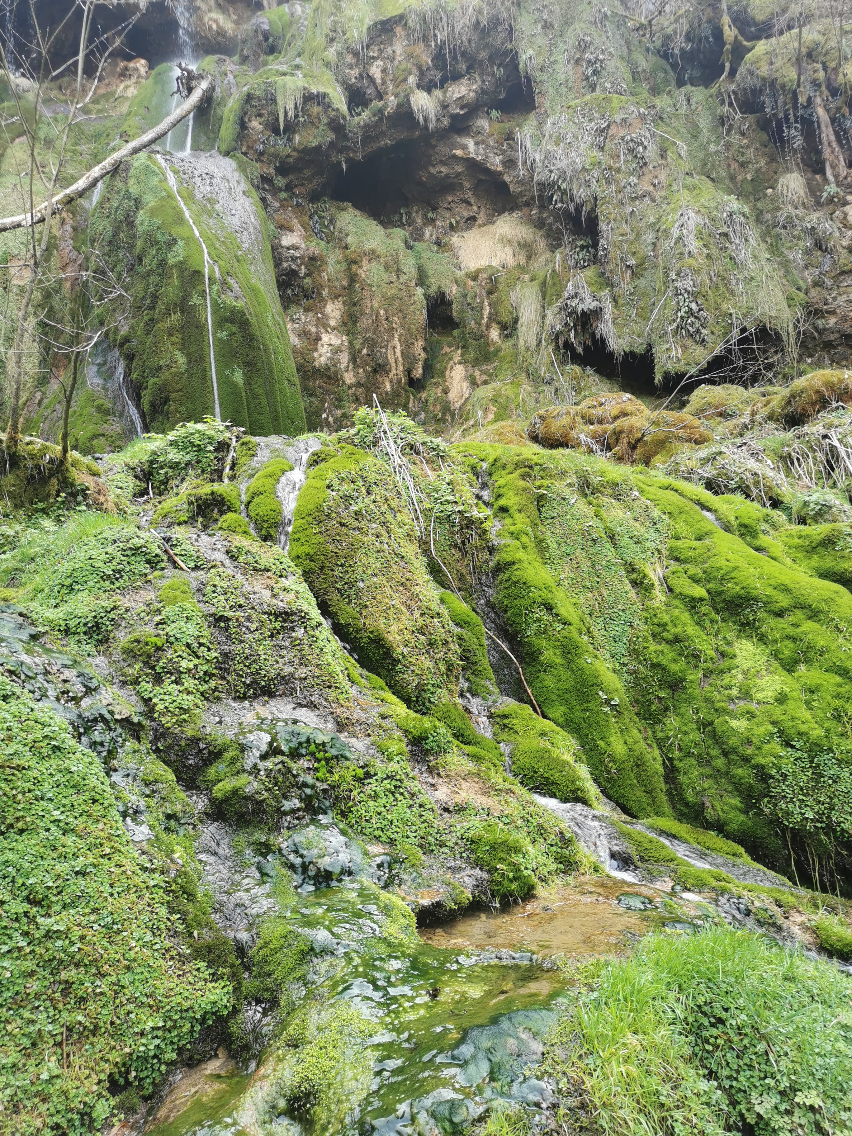 Photo n° 12 de l'avis de Séverine.e fait le 28/03/2022 à 18:58