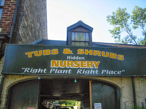 Tubs and Shrubs