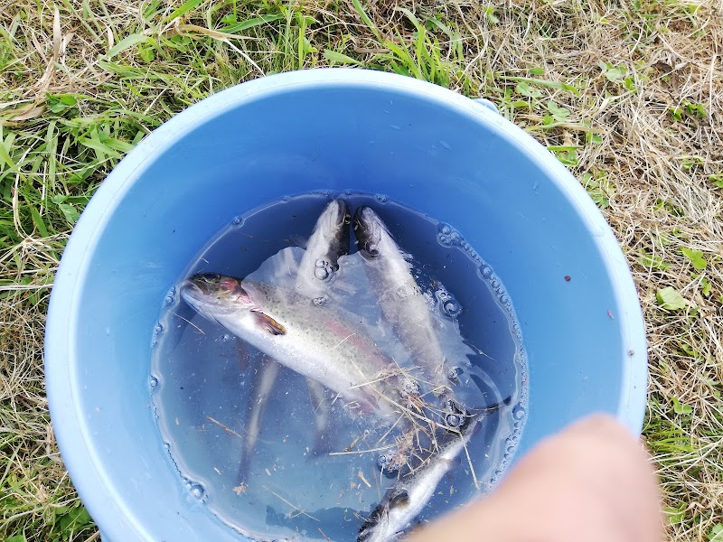ユーランド清水川 岩手県八幡平市松尾寄木第 釣り堀 グルコミ