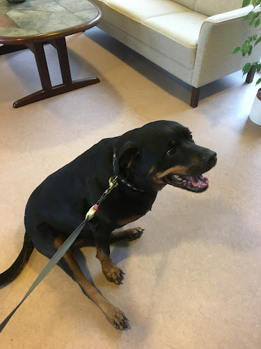 Hasselager Centervej 12, 8260 Viby J