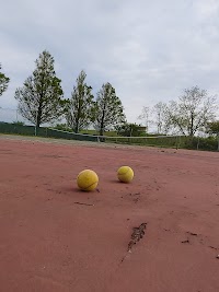 雄物川河川緑地施設テニスコート