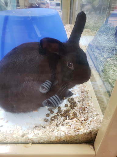 Pet Supply Store «Pet Supermarket», reviews and photos, 2959 N Druid Hills Rd NE, Atlanta, GA 30329, USA