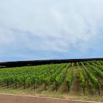 Photo n°4 de l'avis de Zach. fait le 25/06/2022 à 16:41 sur le  Rinuccio Restaurant à Bargino