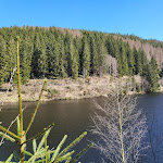 Photo n°2 de l'avis de Silikon. fait le 21/04/2022 à 06:28 sur le  BERGGAST - Bergwirtschaft Papststein à Gohrisch