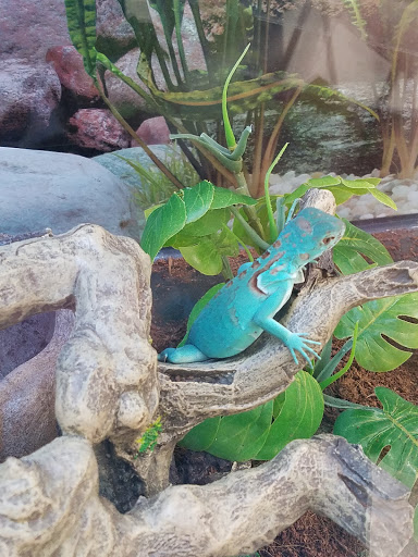 Pet Supply Store «Petco Animal Supplies», reviews and photos, 3680 Spencer Hwy, Pasadena, TX 77504, USA