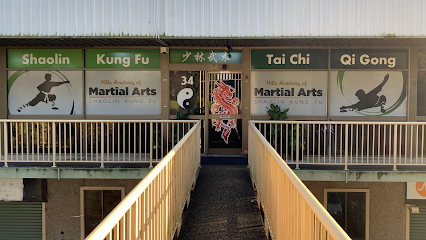 Hills Academy of Martial Arts