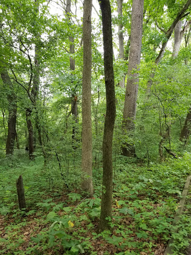 Nature Preserve «Jackson Bog State Nature Preserve», reviews and photos, 7984 Fulton Dr NW, Massillon, OH 44646, USA