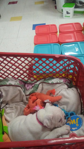 Pet Supply Store «Petco Animal Supplies», reviews and photos, 3680 Spencer Hwy, Pasadena, TX 77504, USA