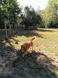 Psí louka - Borský Park