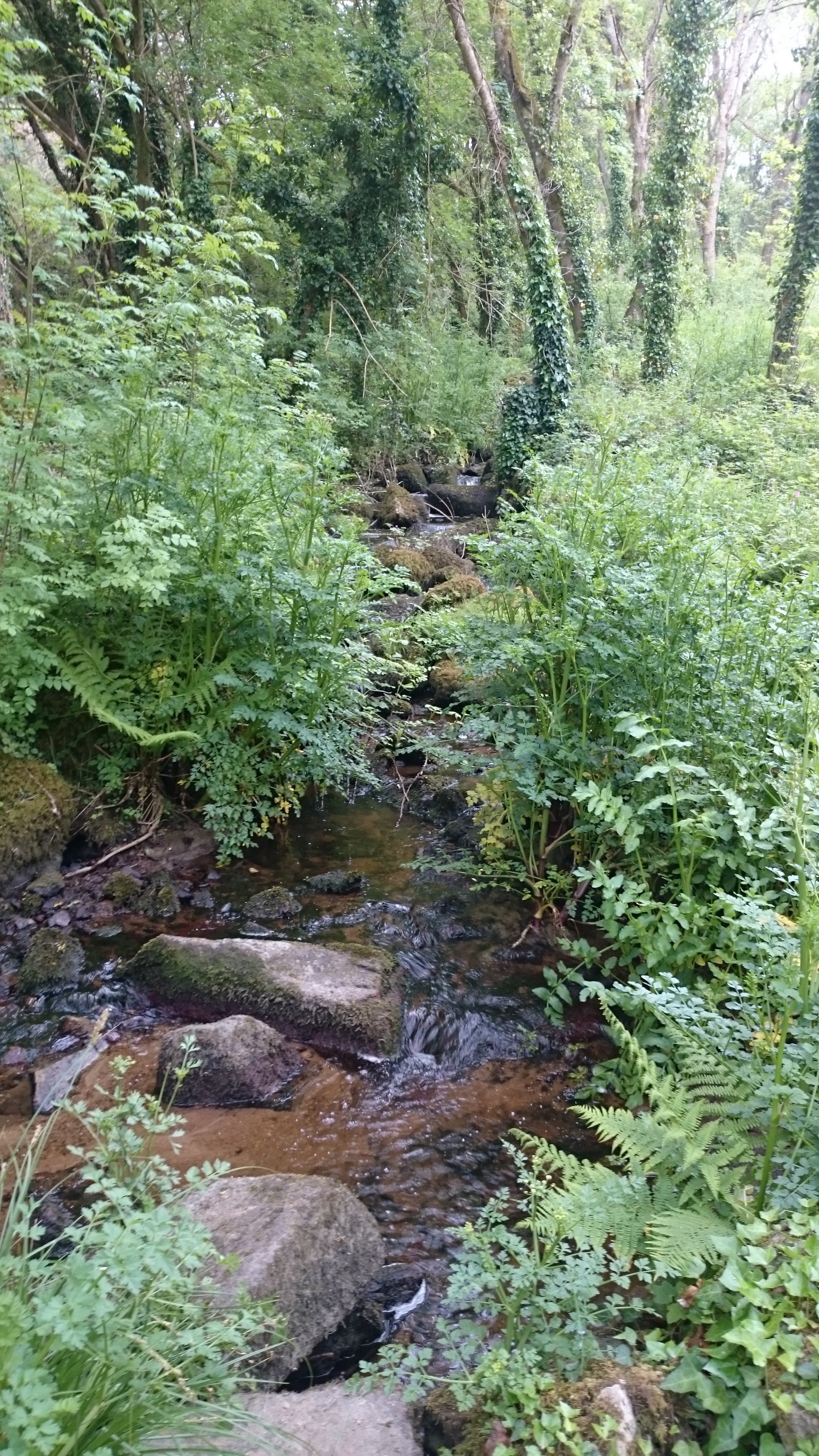 Photo n° 4 de l'avis de Seb.o fait le 11/05/2018 à 17:41