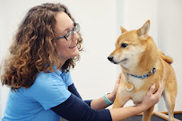 Resorts Boarding & Play - Photo 8 - Car repair in Hamburg, NY, Buffalo