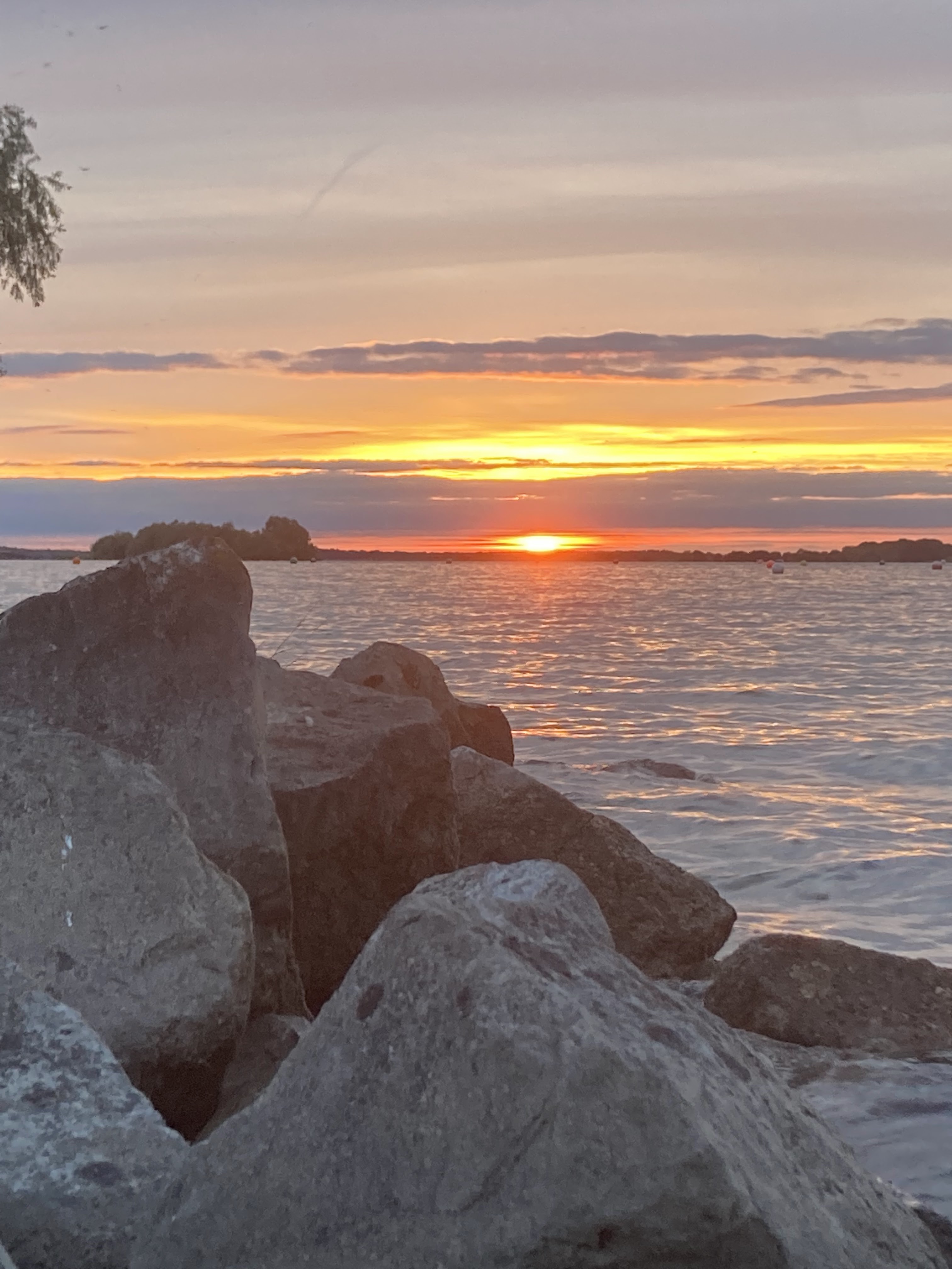 Photo n° 4 de l'avis de Virginie.n fait le 27/05/2022 à 08:37