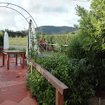 Photo n°40 de l'avis de Elide.a fait le 31/07/2019 à 08:45 sur le  Il ristoro da Lisa à Scarlino