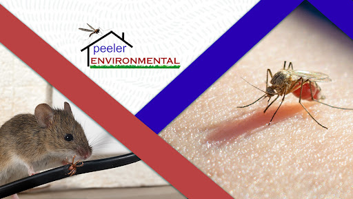 Pest Control Service «Peeler Environmental», reviews and photos