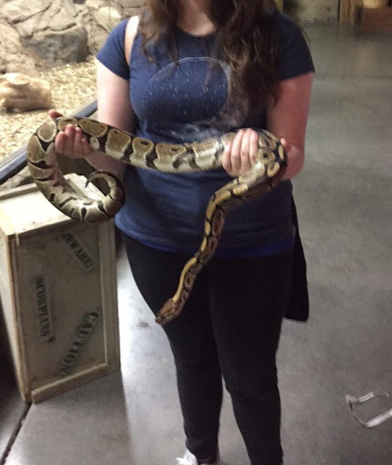 Slugs Deer Processing