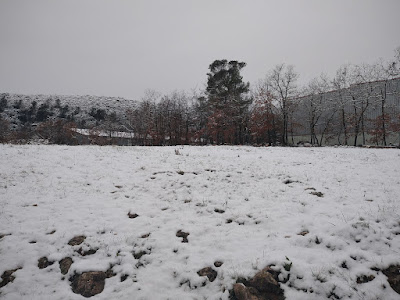 Nicopolis à Brignoles