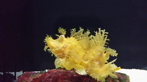 Aquarium «Toledo Zoo Aquarium», reviews and photos, 2700 Broadway St, Toledo, OH 43609, USA