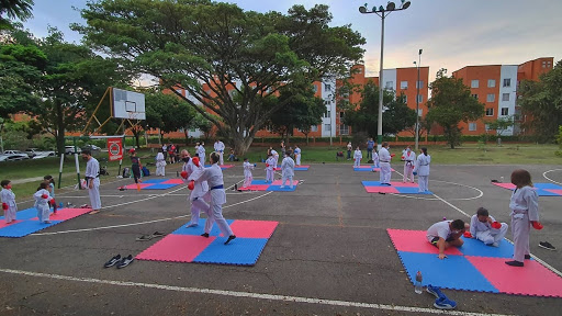 Academia de Karate Do Kenshokai Ciudad Jardin