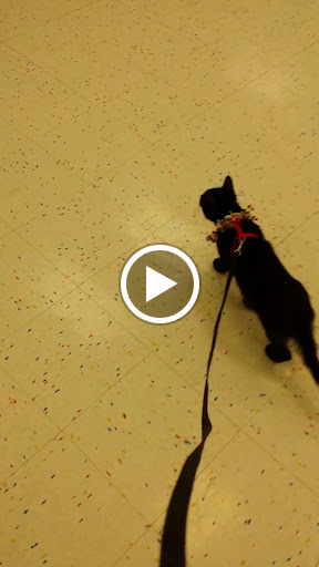 Pet Supply Store «Petco Animal Supplies», reviews and photos, 5239 Harvey St, Norton Shores, MI 49444, USA