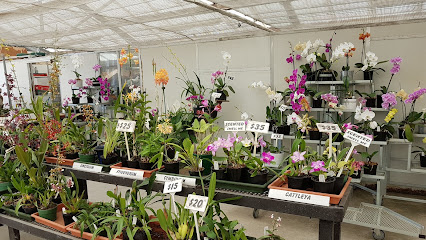 Tuckers Orchid Nursery