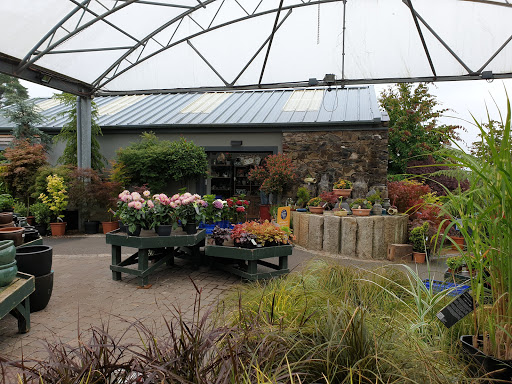 Cameron Landscapes & Garden Centre