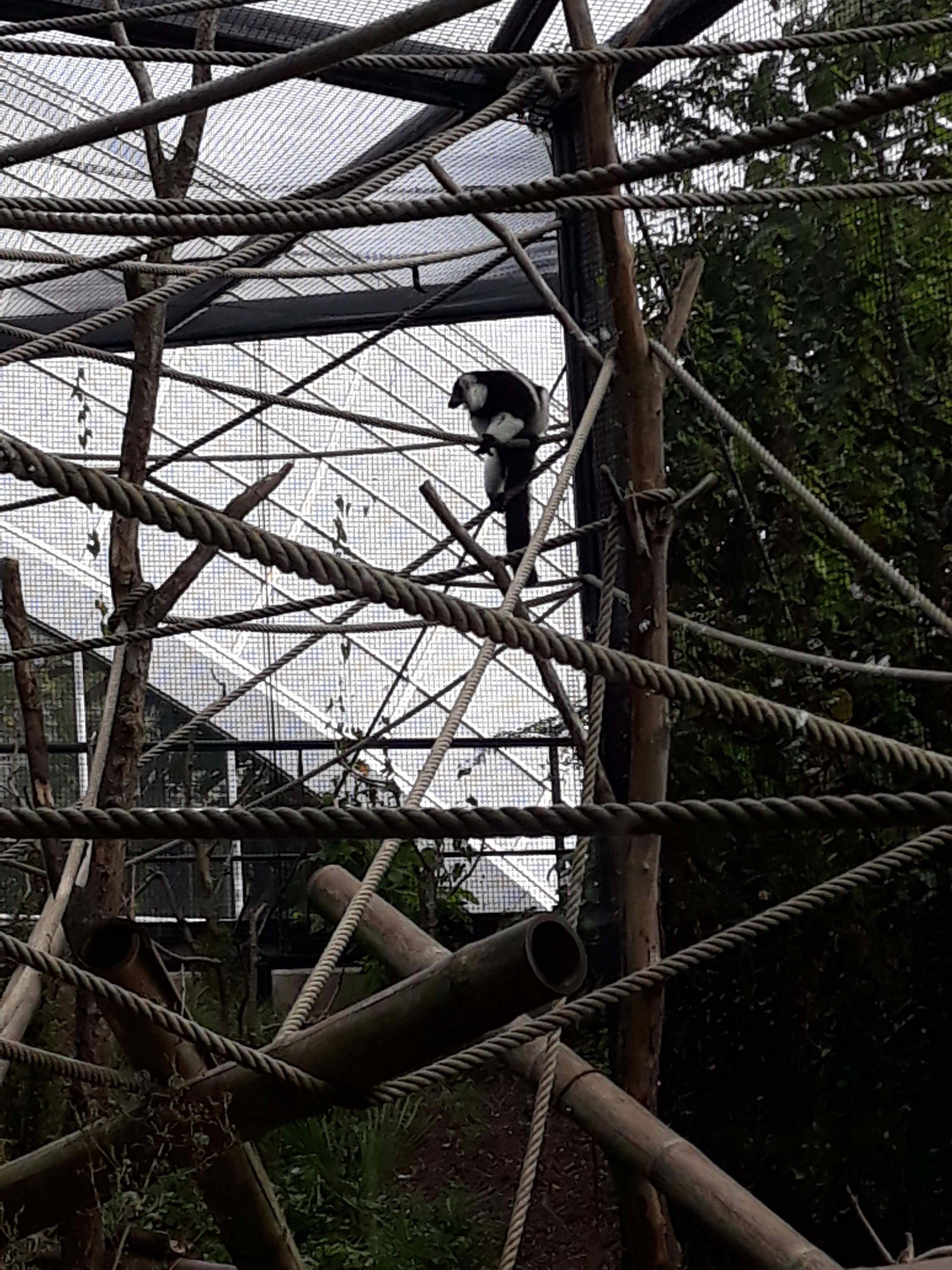 Photo n° 3 de l'avis de Ludo.a fait le 30/08/2021 à 17:15