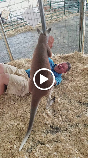 Live Music Venue «Oak Mountain Amphitheatre», reviews and photos, 1000 Amphitheater Rd, Pelham, AL 35124, USA