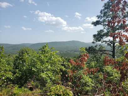 The Indian Mountain Tract
