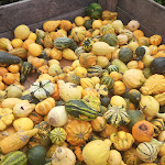 Photo n°17 de l'avis de Jens.h fait le 03/10/2022 à 15:46 sur le  Altes Zollhaus à Hünfelden