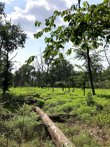 Nature Preserve «Messenger Woods Nature Preserve», reviews and photos, 13800 W Bruce Rd, Homer Glen, IL 60491, USA