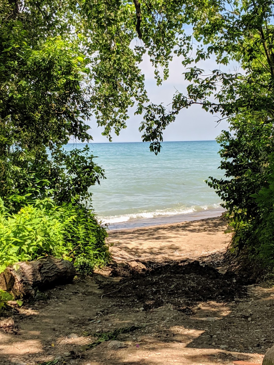 Millard Park
