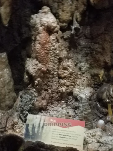 Science Museum «Kentucky Science Center», reviews and photos, 727 W Main St, Louisville, KY 40202, USA