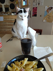 Plats et boissons du Restaurant Trois petits chats - Bar à chats à Séné - n°20