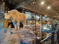 Bass Pro Shops - Photo 9 - Car repair in Manteca, CA, Modesto