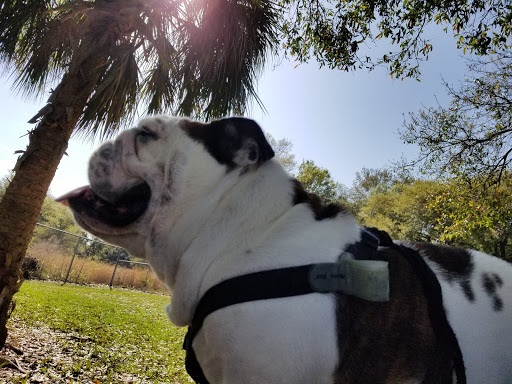 Dog Park «West Park», reviews and photos, 5812 N Occident St, Tampa, FL 33614, USA