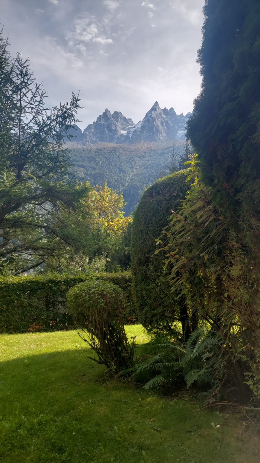 Photo n° 3 de l'avis de Oumaya.e fait le 14/10/2023 à 18:02