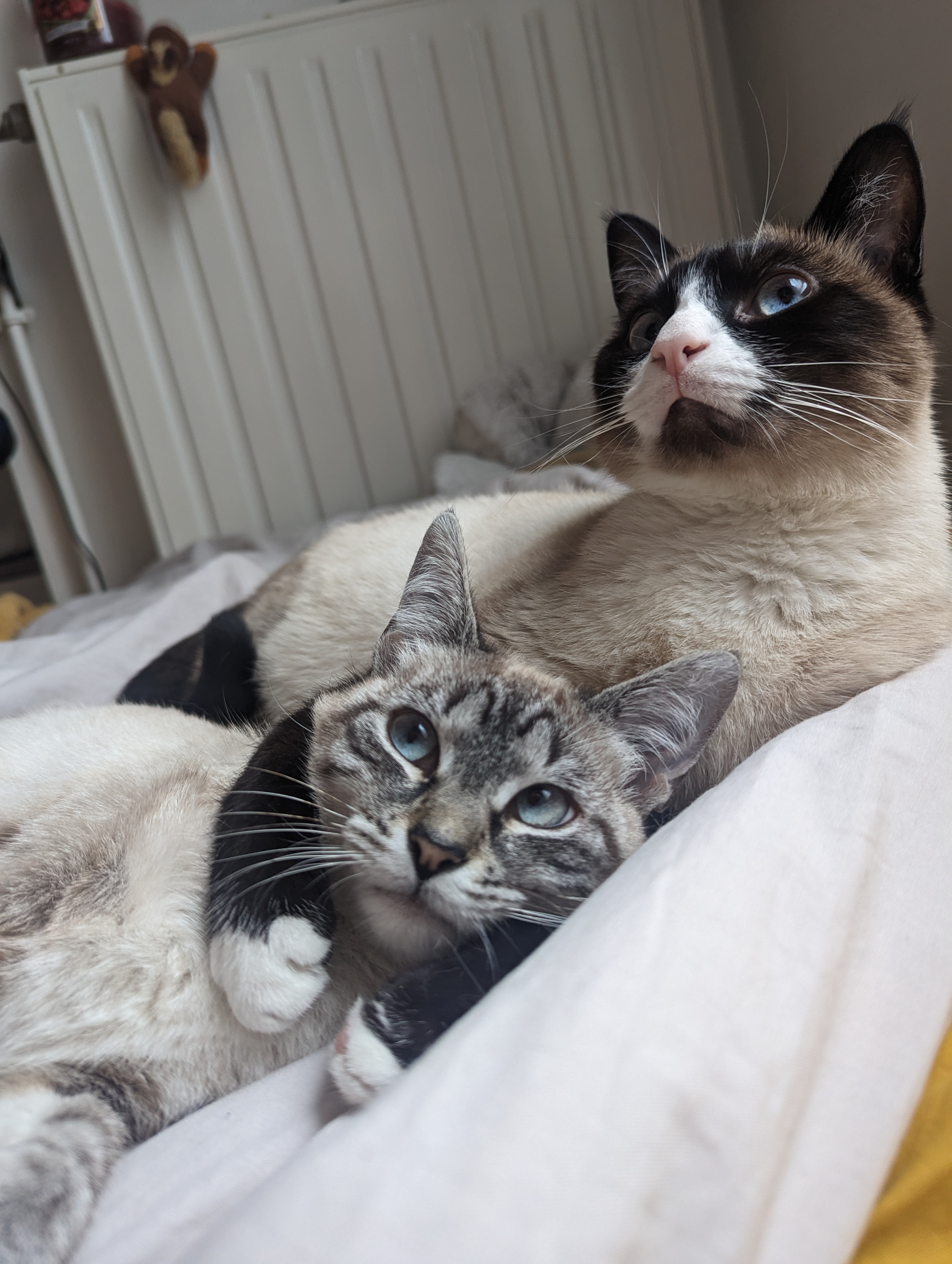 Photo n° 1 de l'avis de Manon.o fait le 28/03/2023 à 14:41