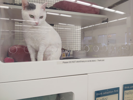 Pet Supply Store «Petco Animal Supplies», reviews and photos, 2765 Papermill Rd G-1, Reading, PA 19610, USA