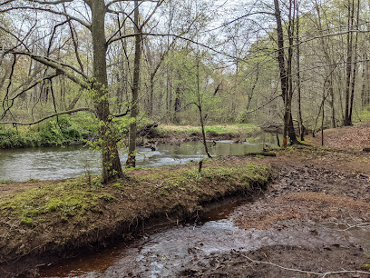 Tree Services Near Jamesburg NJ