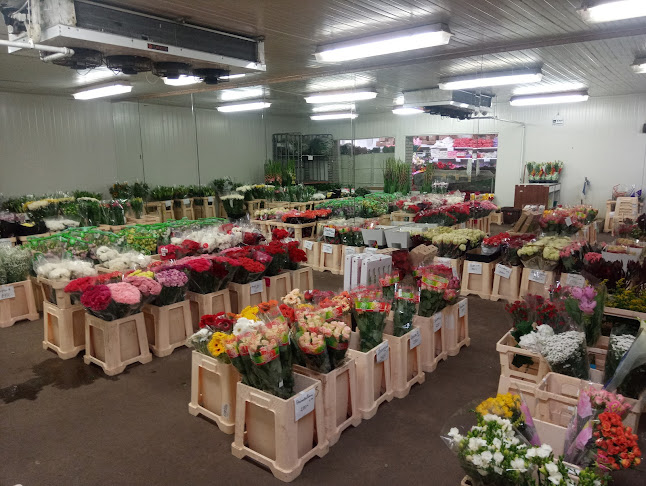 Értékelések erről a helyről: Virág Market Kft. Mátészalka, Mátészalka - Virágárus