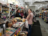 Mini Pet Mart - Photo 8 - Car repair in Bend, OR, Bend