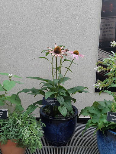 Library «National Gallery of Art Library», reviews and photos, 4th St NW, Washington, DC 20565, USA