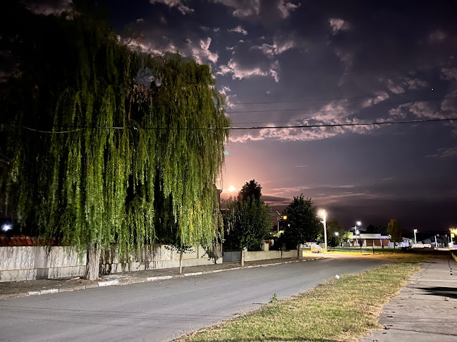 Община Стралджа - Ямбол