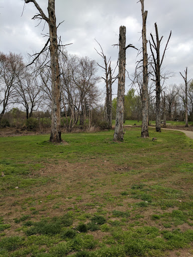 Public Golf Course «Springfield Golf Center», reviews and photos, 855 Hedding Jacksonville Rd, Mt Holly, NJ 08060, USA