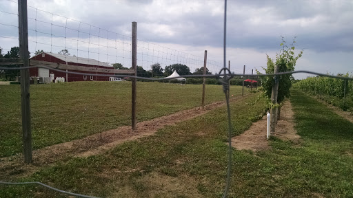 Winery «Monroeville Vineyard & Winery», reviews and photos, 314 Richwood Rd, Monroeville, NJ 08343, USA
