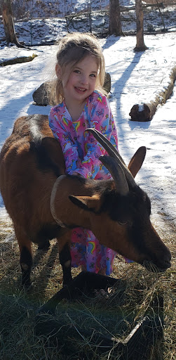 Garden Center «Liberty Agway Home & Garden Center», reviews and photos, 11 Bon Jovi Ln, Liberty, NY 12754, USA