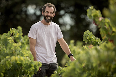 Domaine Jean DAVID à Seguret