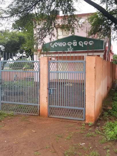 Agriculture Office,Kutra